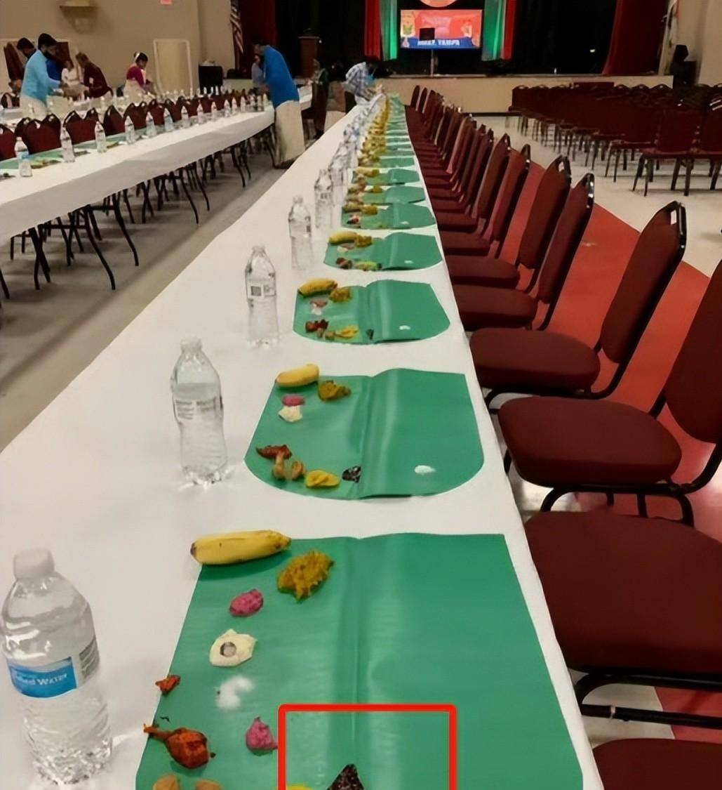 乒乓球亚锦赛变荒野求生比赛场地惊现青蛙?现场环境令人担忧