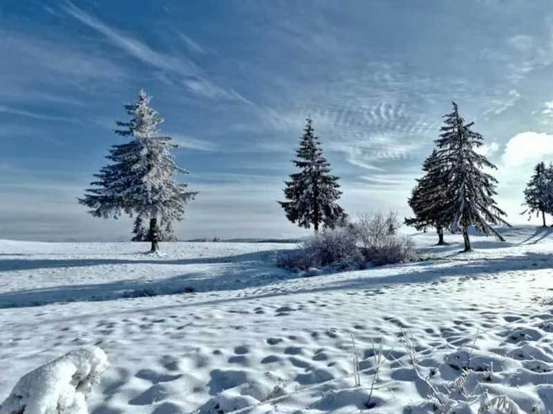 羽毛球双打组合配合愈发默契,世界排名稳步上升?