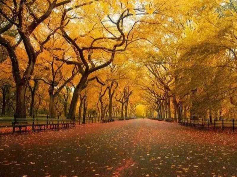 中国羽毛球队时隔12年包揽汤尤杯