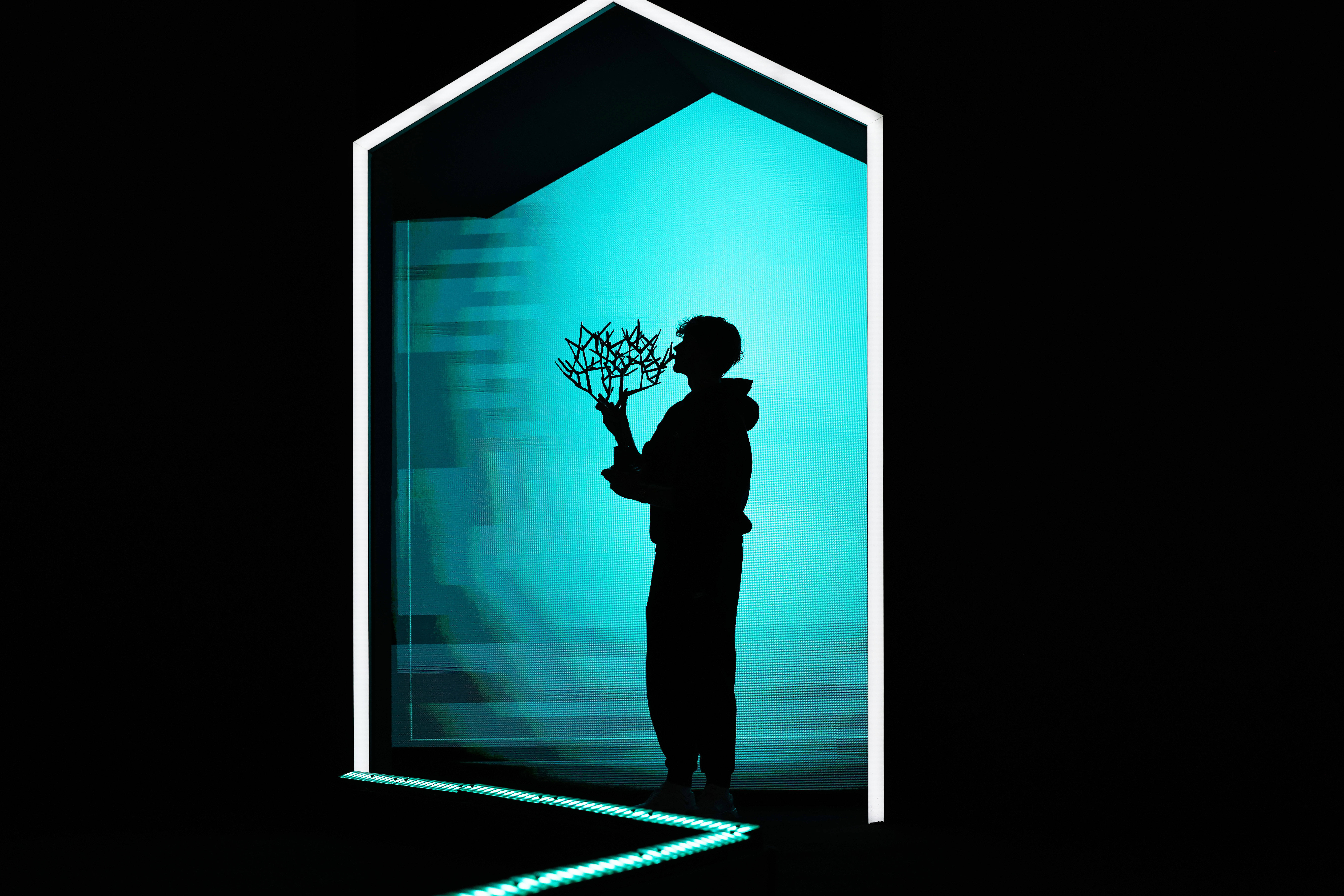 巴黎网球大师赛:辛纳夺冠