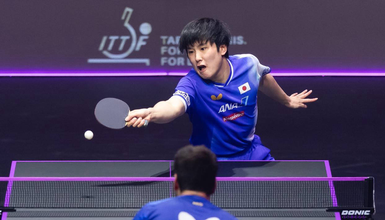 张本美和轻松击败刘杨子，张本智和稳胜林文政，两场比赛基本无悬念